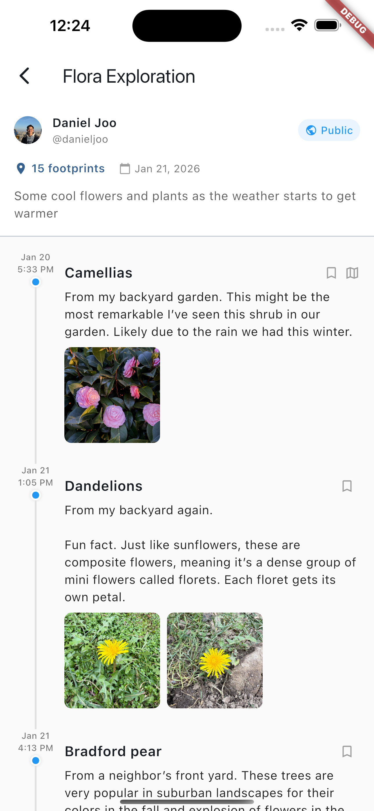 Example of a trail timeline